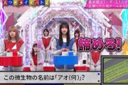 【櫻坂46】煽リムシ井上梨名