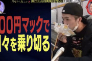 【悲報】若者「100円マックしか食べられない。一度でいいから期間限定バーガーとか食べてみたい?」