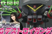 【ガンプラ】 「HGデストロイガンダム」の箱も中身もデカすぎる！