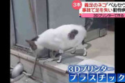 【画像】事故で3本の足を失った猫、3Dプリンターで義足を付けた結果・・・