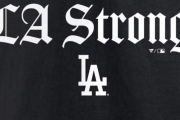 大谷翔平、ロスに50万ドル寄付wwwwwwwwwwwwwwwwww