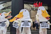 「ダウンを廃止せよ」　H&M渋谷店で動物愛護団体が抗議