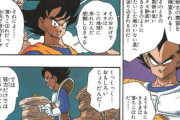 初期ベジータ「くくく…努力では超えられない壁というものを教えてやろう」