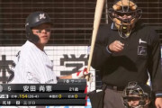 口ッテ安田のオープン戦成績…