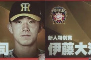 ワイ「阪神・伊藤と日ハム・伊藤が新人特別賞？10勝しただけやんけ…」