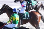 【3歳世代は弱いのか…】ワーケア、新潟記念1番人気も10着　ルメール「分からない」