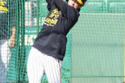 阪神　CSに向け打撃練習に汗、近本はしっかり43スイング、大山も居残りロングティー敢行