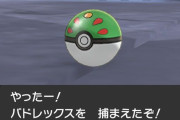 【ポケモン剣盾】「捕獲要員」ってまだ使ってる？冠の雪原での皆の捕獲要員まとめ