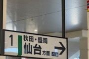 外国人観光客「仙台？知らないな。日本についてはかなり調べたんだけどどこにも出てなかったよ」