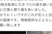 【動画】チャリカスさん、女児をひき逃げしそのまま逃走。逮捕へ