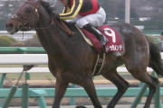【競馬】強い馬ってだいだい意識高い系の名前だよな