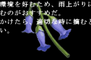 【原神】瑠璃袋という植物は湿っぽい環境を好む為雨上がりに摘むのがおすすめだ←もう少しためになる雑学教えて