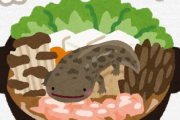 【画像あり】ワイ、大サンショウウオを食ってしまう！！！！！！