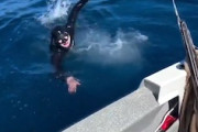 【動画】これはテンション上がる。広い海でレアな体験をした釣り人たち。
