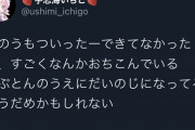 【悲報】人気Vtuberさん、精神がやられて「もうだめかもしれない」と呟いてしまう