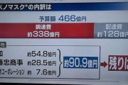 自民党「マスク配布費用466億の内、半分以上の用途は明かせません」←これにデモが起こらない理由ｗｗ