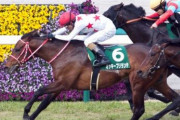 【競馬予想】[1]第16回 キーンランドカップ(G3) /2021