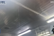 【Kフード】韓国食品会社の製造工場の映像に衝撃！天井から水、床には大量の虫＝韓国ネット「トラウマになる」