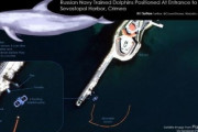 【画像】ロシア軍が黒海に「イルカ部隊」を配置？米海軍研究所の衛星画像が示唆