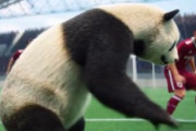 中国人「サッカーに続き、このスポーツまでも、日本が躍進し、中国は・・・」　中国人「人気のあるスポーツはすべてダメ」「社会の縮図」