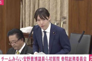 「スーツ着るんだな」「前髪どうにかせい」「そのためにマイナにした」 チームみらい安野貴博議員の初質問に視聴者コメント…国会でプッシュ型支援の重要性議論