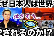 【悲報】留学生「日本にはいい印象しかなかったのに…実際は差別とパワハラが酷すぎ」