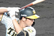 阪神ルーキー井坪とんでもないことになる