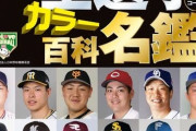 今年のプロ野球名鑑の各球団の顔wwwwwwwwwwwwwwwwwwwwwwwwww
