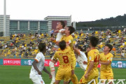 韓国メディア：JリーグでFC東京レアンドロの肘打ち論難が加熱…Kリーグに影響も