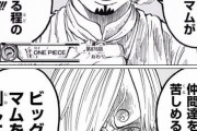 ワンピースのサンジさん9週後の姿がコピペと話題に