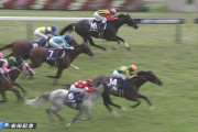 G1をそれなりに勝ってるのに名レースがない馬っている？
