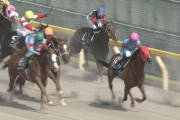 【競馬】東京10R青竜Sで大野アルーアキャロルで余裕ぶっこき超絶クソ騎乗