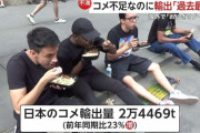 「日本人が食べる分ないのに…」コメ輸出量が“過去最高”ってホント!?　一方早くも「2025年度の新米」の予約もスタート