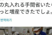 [韓国の反応]日本はマスクに日の丸を入れて出荷してるからマスク不足になるんだよ「韓国ネット民」第二次大戦の時も銃に職人がひとつひとつ皇室のマークを刻んでいた国だからな