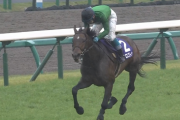 【中山GJ】九州産馬によるJRAのGI制覇