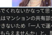 【動画】 妊娠中ユーチューバーゆん 「配達員が荷物を玄関の中まで運んでくれなかった」と怒りの告発 ← 当たり前だろと叩かれ炎上