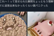 【カービィケーキ】夫さん、娘のためにケーキを買って帰ったら妻にSNSで晒し上げられてしまう（※画像あり）