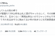 【悲報】カードゲーマー、ゴネて6歳児を泣かせてしまう。大人げなくて草ｗｗｗｗ