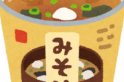 最近のインスタントみそ汁のレベルがめちゃくちゃ高い