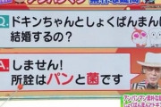 アンパンマンのやなせたかし先生「ドキンちゃんと食パンマンは結婚しません。所詮はパンと菌です」