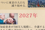 【悲報】日本さん、もう取り返しがつかない事態に