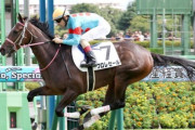 【3歳馬故障定期】注目馬フロレセールも離脱　繋靭帯炎と剥離骨折