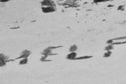 砂浜にヤシの葉で「HELP」、太平洋の孤島に取り残された3人を米海軍と沿岸警備隊が救助！