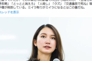はすみとしこ、伊藤詩織さんへ。550万円欲しかったら、私が木村花さんの様にならないよう、最新の注意を払った方がいいんでねぇの？