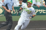 【阪神】前川右京、セ界でも暴れろ　交流戦ラスト大敗もひとり気を吐く　「交流戦はいい形で終われたかな」