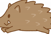 隣の人「猪突猛進という諺は大嘘、イノシシは賢いのでこうします」