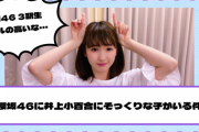 【元乃木坂46】櫻坂46に井上小百合にそっくりなメンバーがいる件！！！