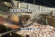食べ放題やん！漁船に乗り込み魚を食べるトドを追い払おうとするも水攻撃は効かなかった