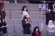 【画像】開幕した韓国プロサッカー無観客試合に置かれた人形がコチラｗ