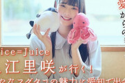 【朗報】初のソロ仕事をしたJuice=Juice入江里咲さん、可愛すぎる